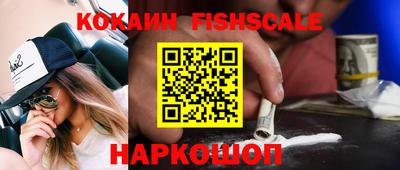 Альфа ПВП Камышлов