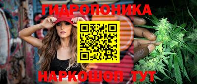 Альфа ПВП Камышлов